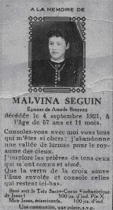 Genealogy Seguin