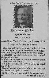 Genealogy Vachon