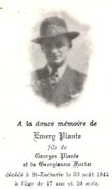 Généalogie Plante