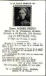 Genealogy Pepin