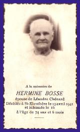 Généalogie Bosse