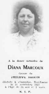 Genealogy Marcoux