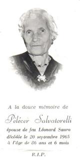 Généalogie Salvatorelli