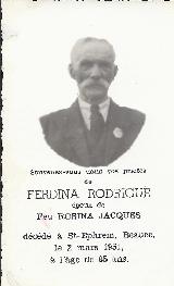 Genealogy Rodrigue