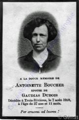 Genealogy Boucher