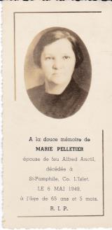 Genealogy Pelletier