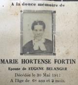 Genealogy Fortin