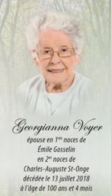 Genealogy Voyer