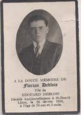 Généalogie Deblois