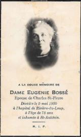 Généalogie Bosse