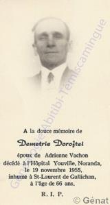 Généalogie Doroftei