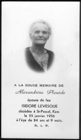 Généalogie Plourde