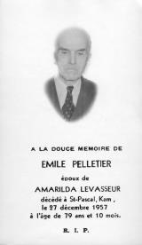 Genealogy Pelletier