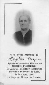 Généalogie Despres