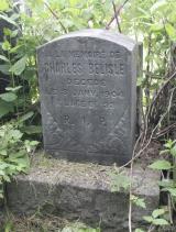 Genealogy Belisle