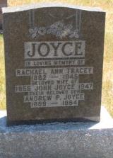 Généalogie Joyce