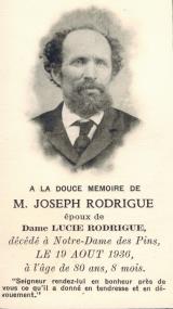 Généalogie Rodrigue