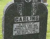 Généalogie Carling