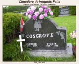 Genealogy Cosgrove