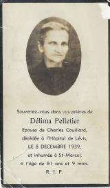 Genealogy Pelletier