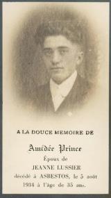 Généalogie Prince